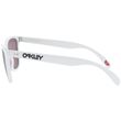 Oculos-Oakley-Frogskins-35th-Anniversary