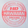 Camiseta-Masculina-Hd-New-School-CINZA