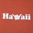 Camiseta-Masculina-Hang-Loose-Hawaii-MARROM
