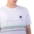 Camiseta-Masculina-Hang-Loose-Stripe-BRANCO