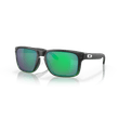 Oculos-Masculino-Oakley-Holbrook-Prizm-Jade-OO9102-E4