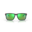 Oculos-Masculino-Oakley-Holbrook-Woodgrain-Prizm-Shallow-Water-Polarized