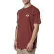 Camiseta-Masculina-Billabong-Small-Arch-Emb-2024-VINHO