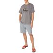 Camiseta-Masculina-Oakley-Heritage-Nuts-Logo-Stone-Gray-CINZA-FOA406051-22Y-4.jpg