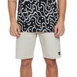 Bermuda-Sarja-Masculina-Quiksilver-Everyday-Skate-CAQUI-Q502A0039-2.jpg